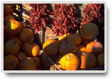 NEDEN TS EN ISO 22000 haccp